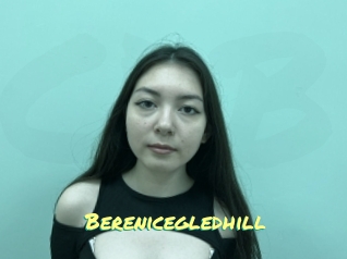 Berenicegledhill