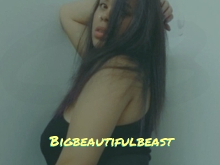 Bigbeautifulbeast