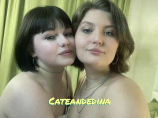 Cateandedina