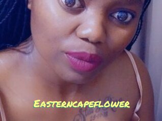 Easterncapeflower