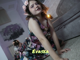 Evasea