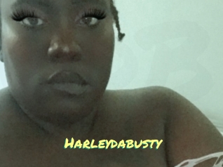 Harleydabusty