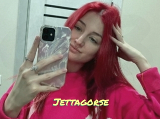 Jettagorse