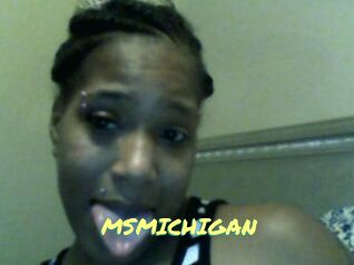 MSMICHIGAN