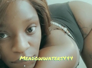 Meadowwaters444