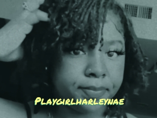 Playgirlharleynae