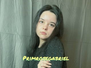 Primrosegabriel