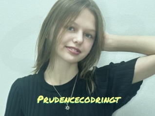 Prudencecodringt