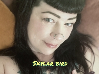 Skylar_bird