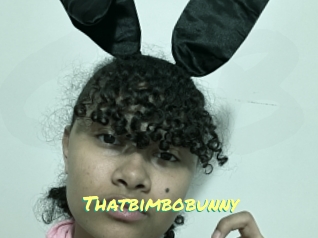 Thatbimbobunny