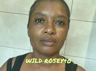 WILD_ROSEY40