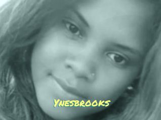 Ynesbrooks